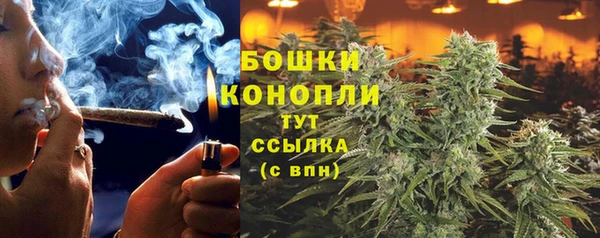 гидропоника Коряжма