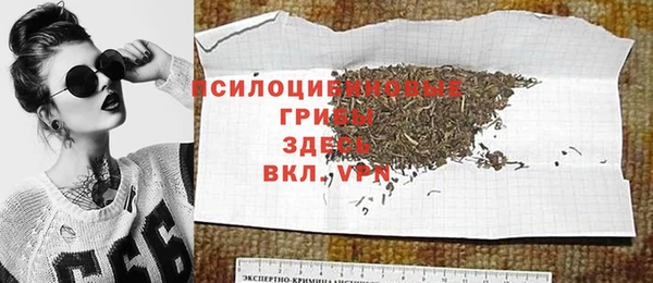 mdpv Костерёво