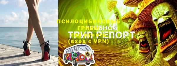 mdpv Костерёво